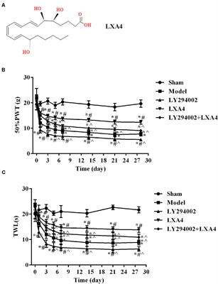 Lipoxin A4 Inhibits NLRP3 Inflammasome Activation in Rats With Non-compressive Disc Herniation Through the JNK1/Beclin-1/PI3KC3 Pathway